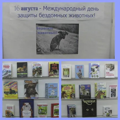 Стенгазета «Берегите природу» (1 фото). Воспитателям детских садов,  школьным учителям и педагогам - Маам.ру