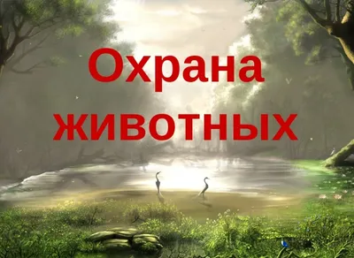 Информационный плакат Берегите природу. Соблюдайте чистоту (профиль  серебро) (305х210; Пластик ПВХ 2 мм, алюминиевый профиль; ) – купить в  Москве, цены | ГАСЗНАК