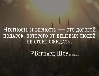 Бернарда Шоу: истории из жизни, советы, новости, юмор и картинки — Все  посты, страница 7 | Пикабу