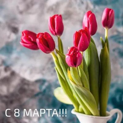 Скачать открытки \"С 8 Марта!\" бесплатно (565 шт.)