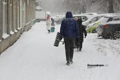 Поздравительная открытка папе к 23 февраля - Аппликации - Поделки своими  руками - Обучение и развитие - ПочемуЧка - Сайт для детей и их родителей