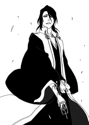 блич #бьякуя #кучики #хисана #бличживи #bleach #anime #byakuya #hisan... |  TikTok