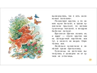 Бианки В. В.: Рассказы и сказки о животных (Внеклассное чтение): купить  книгу в Алматы | Интернет-магазин Meloman