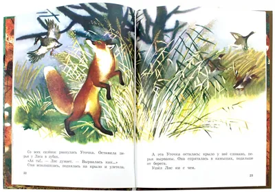 Книги Виталия Бианки о животных: лучшая детская литература о природе. |  Майшоп