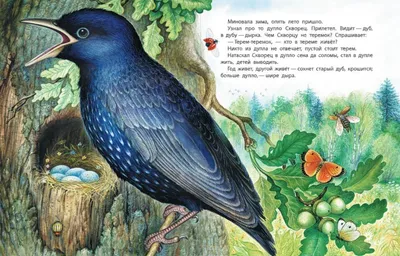 Иллюстрация 1 из 34 для Теремок - Виталий Бианки | Лабиринт - книги.  Источник: Лабиринт