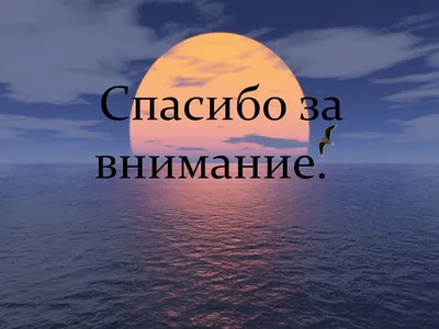 Спасибо за внимание картинка | Картинки, Смешные поздравительные открытки,  Открытки