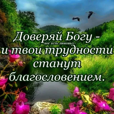 ○══════◅✾`”*°•.✿ღ 🌼🍃🌸💕🌸🍃🌼 ღ✿•°*”✾▻═══════○ ДОБРОЕ УТРО! Благословляю новый  день, благословляю.. | ВКонтакте