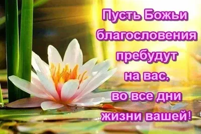 Мудрая бабулечка | Facebook