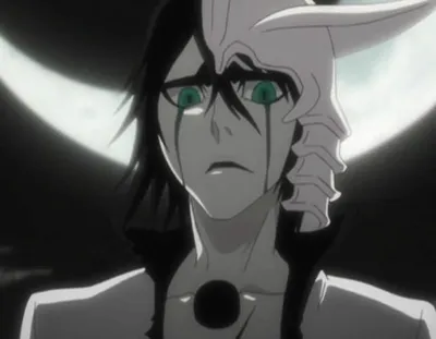 Bleach: Ulquiorra Cifer (ISTJ) - Practical Typing