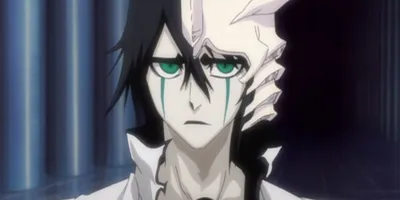 Ulquiorra vs Ginjo, who would win between these two? : r/bleach