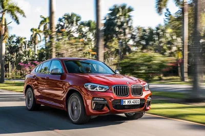 BMW X4 (БМВ Х4) - Продажа, Цены, Отзывы, Фото: 415 объявлений