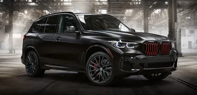 У кроссовера BMW X5 появилась удлиненная версия — Авторевю