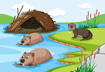 Фигурка животного Derri Animals Бобёр, для детей, игрушка коллекционная  декоративная, 81122, 7,5х4,5х3 см - купить с доставкой по выгодным ценам в  интернет-магазине OZON (675073845)