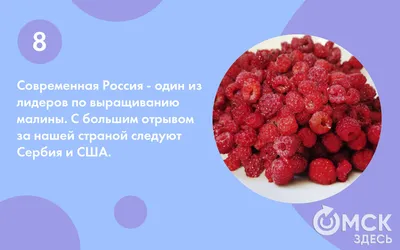 Малина ((Raspberries)) | Раскраски для детей 20 разукрашек