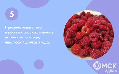 День варенья: за 7 лет урожайность ягод в России увеличилась на 14% |  Информационное агентство «Время Н»