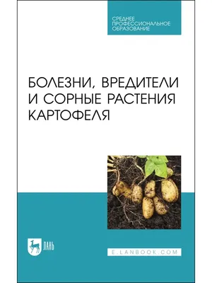 Болезни картофеля при хранении