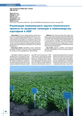 Болезни картофеля в картинках фото описание, какие болезни картофеля вы  знаете, состояние поверхности картофеля