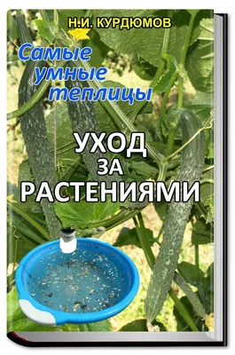 Болезни огурцов - защита и лечение, как спасти огурцы в теплице и открытом  грунте, борьба с вредителями, увяданием, желтением и тлей.