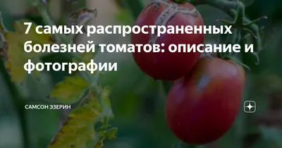 Распространенные заболевания томатов