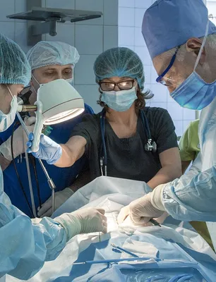 Новая больница в Мариуполе построена за 84 дня | Здравоохранение | Общество  | Аргументы и Факты
