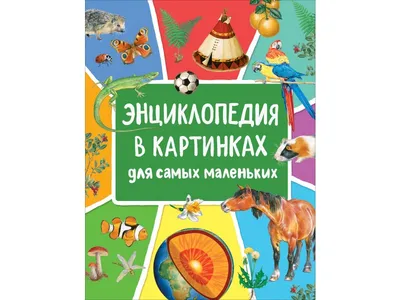 Большая энциклопедия в картинках. Раннее развитие малыша 2+ РОСМЭН 2470195  купить за 772 ₽ в интернет-магазине Wildberries