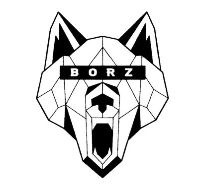 BORZ | ОДЕЖДА (@borzblackwear) • Instagram photos and videos