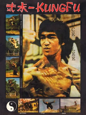 Брюс Ли (Bruce Lee) :: красивые картинки :: Знаменитости :: art (арт) /  картинки, гифки, прикольные комиксы, интересные статьи по теме.
