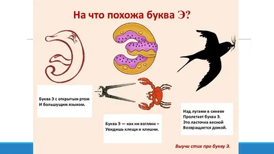 Раскраска Буква Э 🖍. Раскрашиваем любимыми цветами бесплатно и с улыбкой 👍