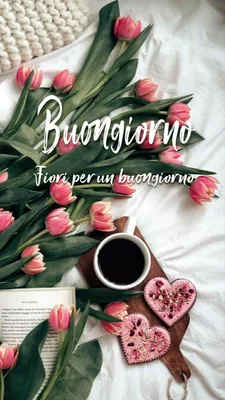 Buongiorno… Buon giovedì e una serena giornata ☕️🌻 #buongiornoooo #gi... |  TikTok