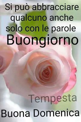 Pin di Desiree 🌺❤🌺 su Un buongiorno per ogni giorno della settimana |  Buona domenica, Buongiorno, Buona giornata