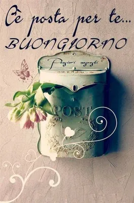 Buongiorno🌻 felice lunedi amici e buona giornata 🌸🌿🌸🍃🌸🌿#buongio... |  TikTok