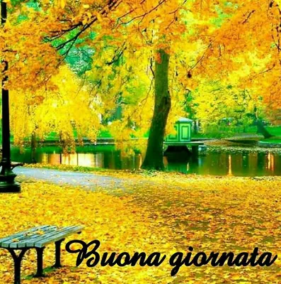 Buongiorno…🥰Amici Buon mercoledì e una serena giornata ☕️🌻 #buongio... |  TikTok