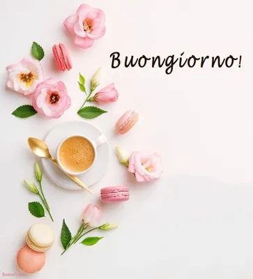 buongiornoooo | TikTok