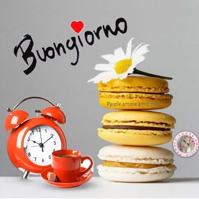 buongiornoooo | TikTok