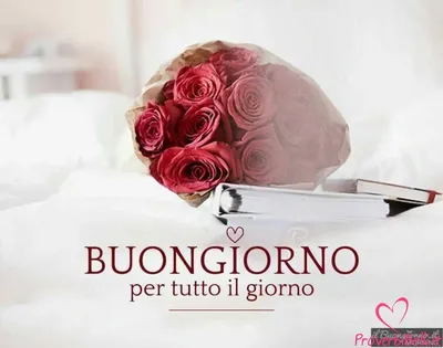 buongiornoooo #buonadomenica | TikTok