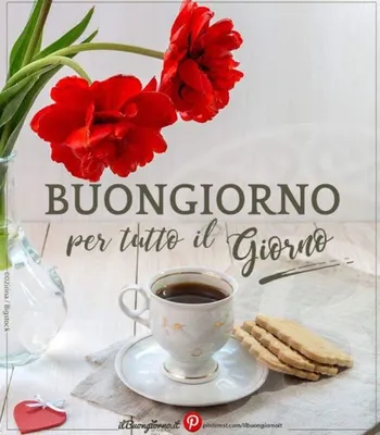 buongiorno è per te｜TikTok Search