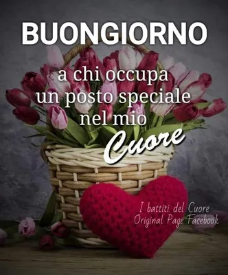 Buongiorno… Buon venerdi e una serena giornata ☕️🌻 #buongiornoooo #ve... |  TikTok