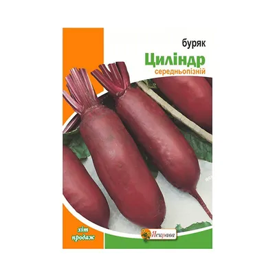 Буряк не можна їсти з цими продуктами | РБК Украина