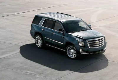 The Cadillac Escalade Stands Tall and Brings Spacious Refinement