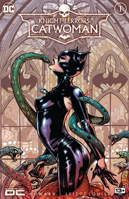 Inked: Catwoman ~ Art Print – Voluptuous Vinyl Records