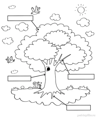 Строение дерева. От клеток до корней - Московская школа ухода за деревьями  «ЗДОРОВЫЙ ЛЕС»