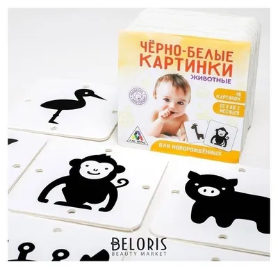 Черно-белые картинки для новорожденных 20 карт - купить игры с доставкой по  низким ценам | Интернет-магазин Fkniga.ru