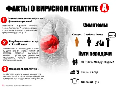 Уполномоченный по правам человека в Хабаровском крае | Уполномоченный по  правам человека в Хабаровском крае