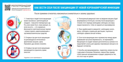 Население – факты и цифры