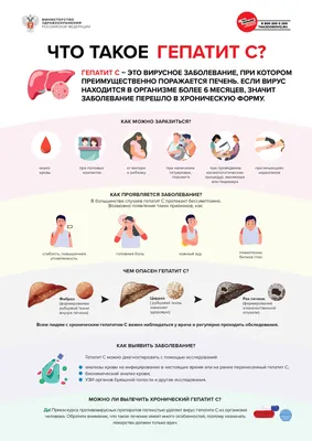 ФАКТОРЫ, ВЛИЯЮЩИЕ НА ЗДОРОВЬЕ ЧЕЛОВЕКА | Жизнь со всех ракурсов | Дзен