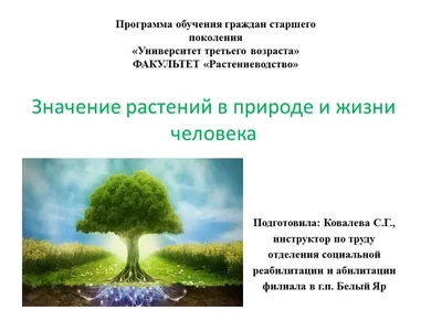 Влияние ультрафиолетового излучения на организм человека. - Ульяновский  областной центр профессиональной паталогии им. Максимчука В.М.