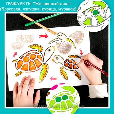 Муравей черепахи стоковое изображение. изображение насчитывающей  экологичность - 195696573