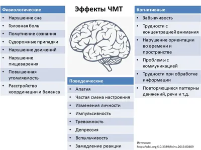 Черепно-мозговая травма: современные модели