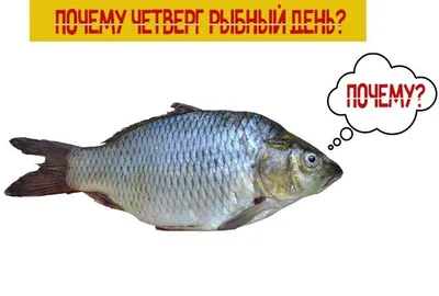 Четверг – рыбный день: отголоски истории - Fishmarket - Морские рыбы