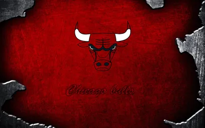 Скачать обои The Chicago Bulls, Chicago, Bulls в разрешении 2880x1800 на рабочий  стол